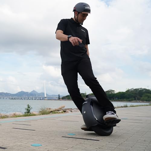 Inmotion Gyroroue Electrique V6, Adulte, Noir, Moteur 500W, Autonomie jusqu'à 30km, Vitesse bridée 25km/h, Pneu Tubeless 14\, Noire