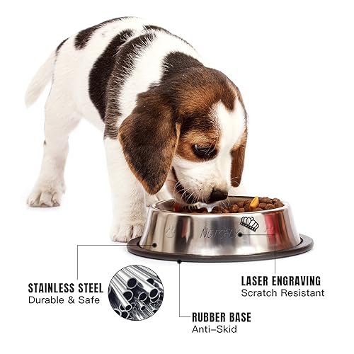 Hundenapf Edelstahl, Futternapf Katze mit Namen&Muster rutschfest Gummibasis Personalisiert Fressnapf Hunde Groß Stapelbare Wassernapf Hundenäpfe für Futter oder Wasser(20cm,1000ml)