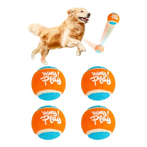 ALL FOR PAWS Tennis Balls Dog Toy, 2.5 Inch Pet Safe Fetch Balls for Dogs 20-60 lbs, Colorful Dog Balls Toys with Super Bounce (4 Pack)