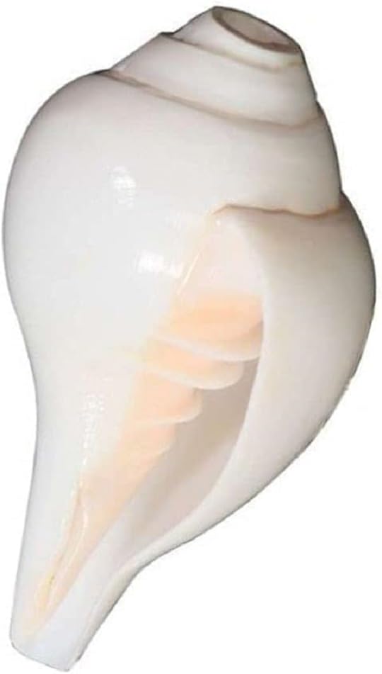 Loud Blowing - Albero di conchiglia originale, grande, colore: bianco, naturale, ideale per rituali Pooja, oggetti religiosi, 12,7 cm