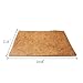 Hamiledyi Reptile Carpet Natural Coconut Fiber Tortoise Carpet Mat for Pet Terrarium Liner Reptile Supplies for Lizard Snake Chameleon Turtle Bedding Bunny Rabbit Mat (2 x Sheets)