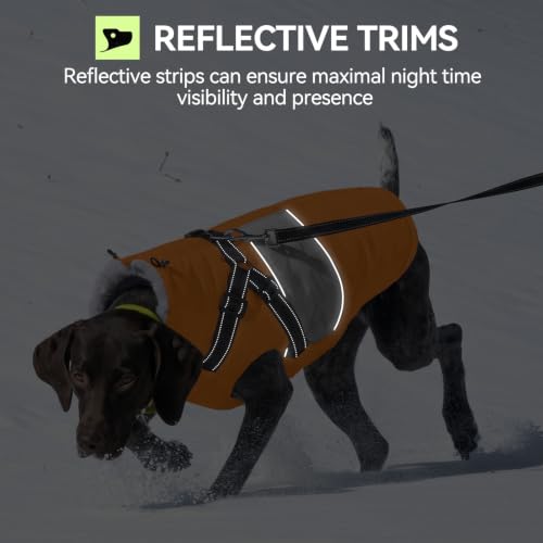 Image of Small Dog Coat with Harness Built in Warm Dog Winter Jacket