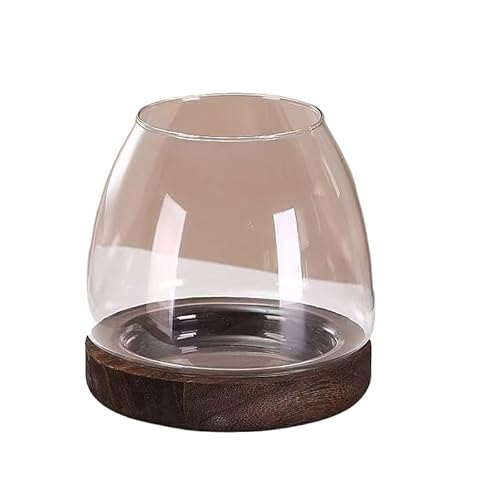 KXkA, ؐT|[gtKXԕr,  RIȉƂ̑ArO[AoX[AfBi[p̐ԊwIȐ (uE,XL)