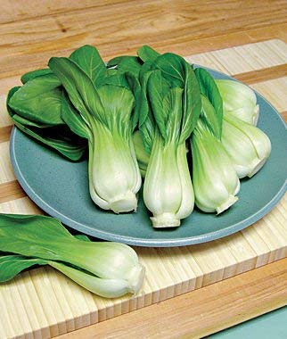 Creative Farmer Sci-A26 Pak Choy Seeds (B086Q9XRVX) Amazon Price History, Amazon Price Tracker