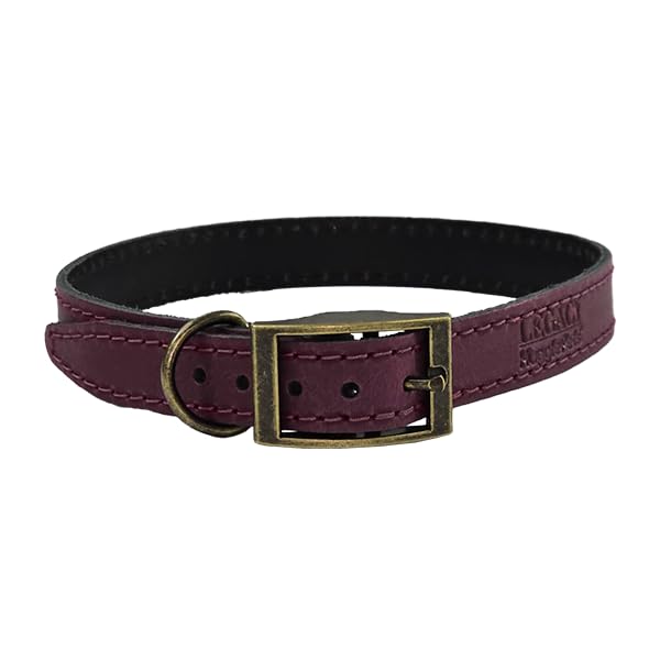 HugglePets Legacy Leather Dog Collar, Chocolate (Extra Small