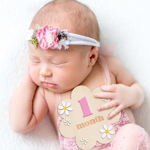 Burbell 3D Wooden Daisy Baby Monthly Milestone Sign Cards 1-12 Months Interchangeable Monthly Milestone Wood Discs Announcement Sign for Baby Shower Newborn Photo Props Gifts(Pink) by Burbell - Image 5