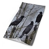 ZGHQHCDRH Black Crow Birds Neck Gaiter Personalized Soft Windproof Face Cover Cozy Winter Neck Warmer Gator Scarf Multipurpose Fashion Breathable Bandana Face Mask Scarf for Adult