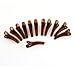 Hairdressing Clear Brown Plastic Alligator Hairclips Barrettes 12 Pcs