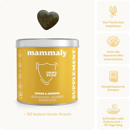 14-in-1 Immunsystem Leckerli für Hunde - Immu Push 120 Snacks (350g) von mammaly - Stärkt Abwehrkräfte mit Hagebutte, Granatapfel, Ashwagandha, Bierhefe,Zink - Reich an Antioxidantien, Vitamin A, C, K