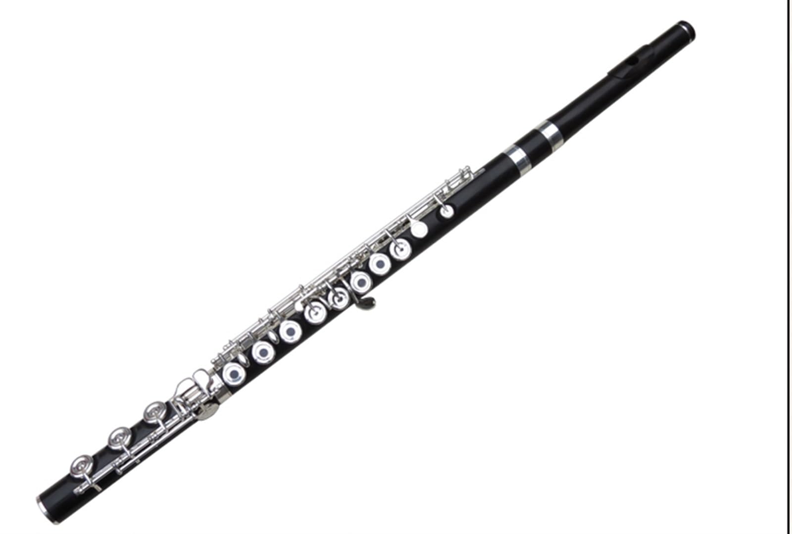 Flauto in ebano Strumento professionale Grado di prova Prestazioni 17 fori Foro aperto B Coda C Accordatura Corpo in legno placcato argento YFL-600S