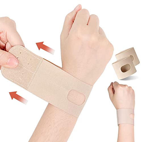  T|[^[ F ֐ Œ pT|[^[ ^ y z dŒ X|[c Ǝ 玙 p\R/X}z jp (2, J[LF/S)