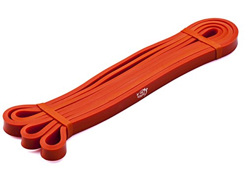 Fit Simplify Pull Up Assist Band - Stretching Resistance Band - Mobility and Powerlifting Bands - Exercise Pull Up Band