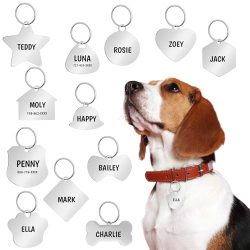 Abbylike Custom Engraved Stainless Steel Pet ID Tags