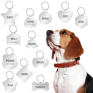 Abbylike Stainless Steel Pet ID Tag...