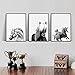 Produktbild Chihie Nordic Wandkunst Schwarz Und Weiß Tier Poster Pferd Bilder Auf Leinwand Skandinavischen Malerei Pictures 40cm x60cm x3p Kein Rahmen