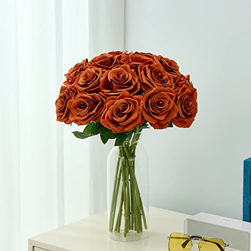 Carlita‘s Blooms 15Pcs Burnt Orange Fake Roses Artificial Silk Flowers Orange Faux Rose Flower Long Stems Bouquet For Arrangement Wedding Centerpiece Party Home Kitchen Decor(Vase Is Not Included) #TOP4