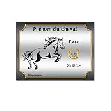 * Pour une installation extérieure au soleil il vous faudra appliquer un anti UV type vernis (non fourni).