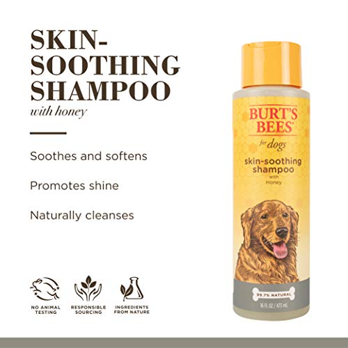 Burt's Bees for Dogs Natural Skin Soothing Shampoo with Honey | Dog Shampoo for All Dogs and Puppies | Safe for Dogs… - Image 5