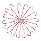 Photo Gallery hampplies 24 pezzi natalizi rosso e bianco decorazioni pratiche forma bastone da per e addobbi casa e feste Photo Gallery hampplies 24 pezzi natalizi rosso e bianco decorazioni pratiche forma bastone da per e addobbi casa e feste