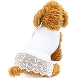 犬服 春夏 可愛い 涼しい ふりふり ワンピース かわいい 女の子 春 夏 春夏 春服 夏服 春物 夏物 夏用 犬用品 ドッグウェア 汚れ防止 レースワンピース (ホワイト, XL)