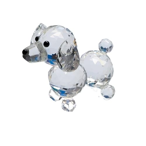 K9 NX^fGȌ̒u~j`AKXNtgƂ̑菬Mtgq̂ (Color : Transparent)