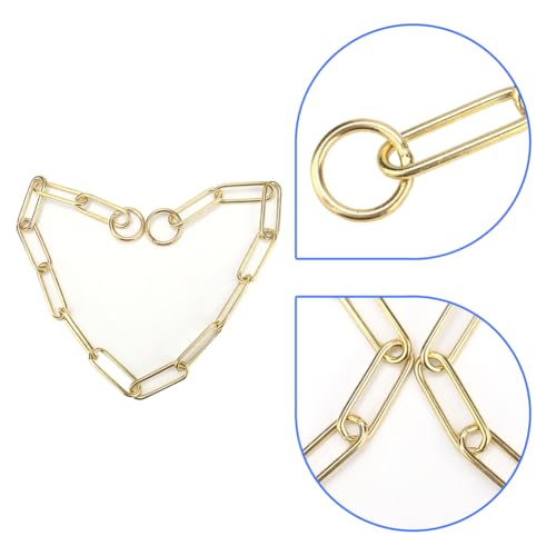 Joyzan Hundehalsband für Hunde, Hundehalsbänder, Kauversuch, Gold, Halbstrobe aus Metall, strapazierfähig, klein, mittelgroß, Training, Füße, Sicherheitskontrolle