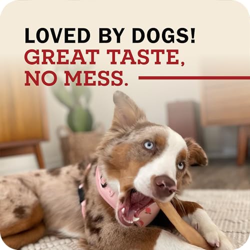 Bâtonnets de collagène de bœuf pour chiens souffrant d'ennui, la solution anti-tartre efficace