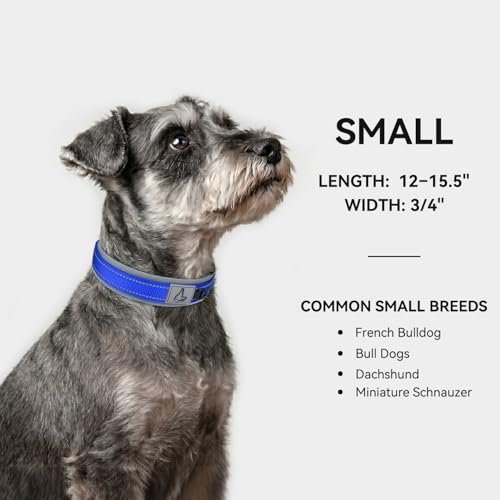 Image of Joytale Dog Collar for Small Dogs, Neoprene Padded and Adjustable, Reflective Wide Heavy Duty Pet Collars with Durable Metal Belt Buckle for Walking, Navy Blue, S