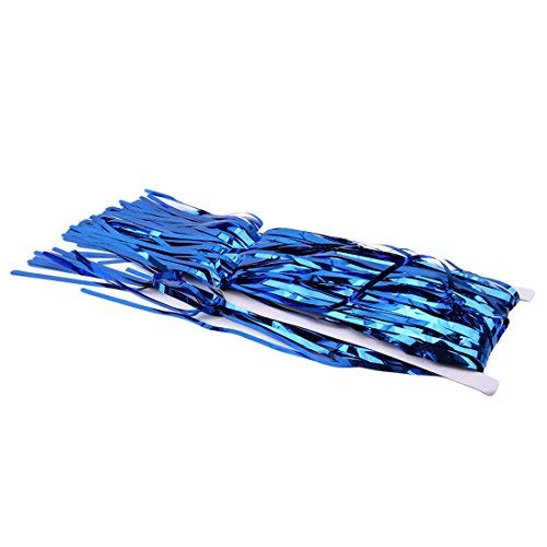 Youthkit Glitter Foil Tinsel Fringe Birthday Party Photo Backdrop