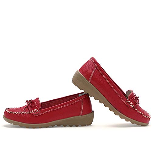 [hhV[Y] 傫TCY fB[X pvX 23.5cm JV ؂ [t@[ T_ ₷ ʋC ~  wlC DP w bV  p`O ꂢ [Y _炩 킢 Xb| 26 26.5