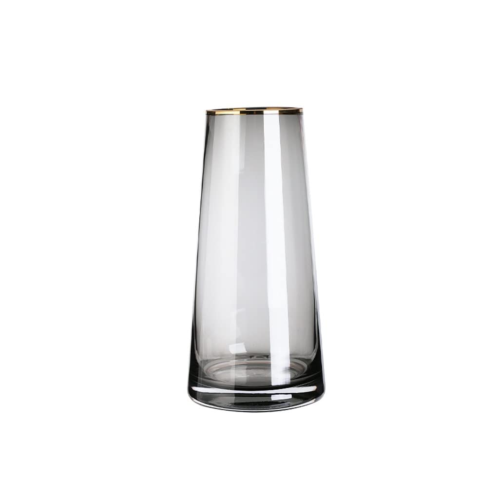 Vase en verre transparent 25cm ornement or pour fleurs et tulipes de salon
