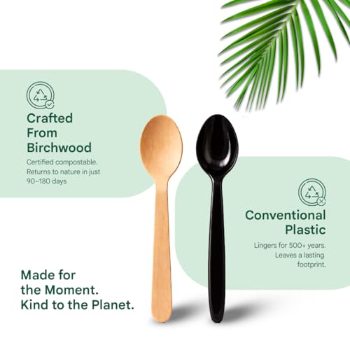 Image of Eco Aaroyaa Wooden Spoons - Disposable Eco-Friendly Wooden Spoon - Natural Wood, Smooth Splinter-Free Finish, Strong & Lightweight Disposable Spoon (165 mm, Pack of 100)