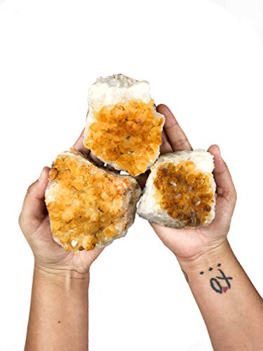 1 (One) Citrine Cluster - Citrine Cluster 1-2 lb Power Stone- Rock Paradise Exclusive COA (AMC1A)