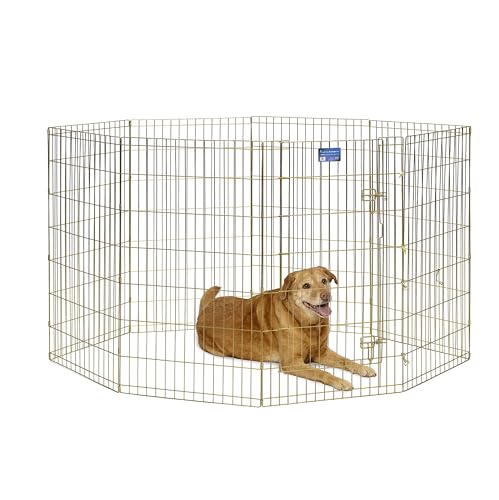 MidWest Homes for Pets 546-42, Recinto per animali in metallo, pieghevole, con porta e picchetti, offre 1,5 metri di spazio per giocare e muoversi, 106 cm di altezza, oro zinco