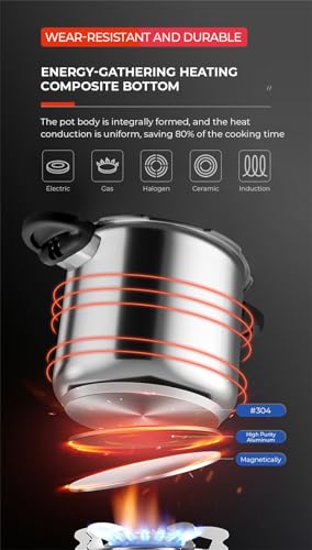 Olla a presión Acero inoxidable 5.6 Quart miniatura 5