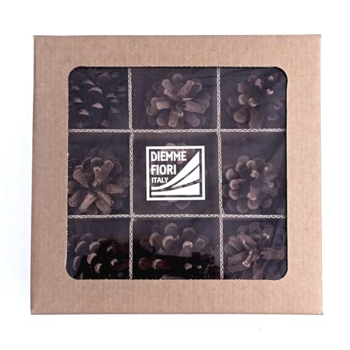 DIEMME FIORI | Pigne Ornamentali Profumate, Confezione da 9 Pigne, Decorazioni Natalizie, 110g