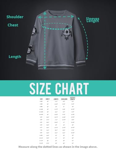 Image of The Souled Store Official Looney Tunes: Sylvester and Daffy Long Sleeve Round Neck Black Printed Boys Sweaters