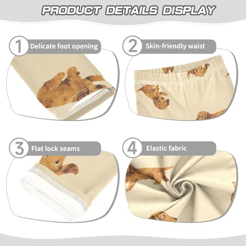 Hand Drawn Dog Girls Leggings,Workout Leggings for Girls Toddler Athletic Legging Size for 3-10T3