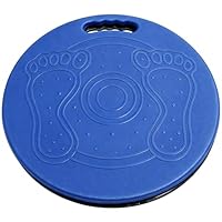 Drehscheibe Umsetzhilfe, Tragbare Anti-Rutsch Transfer Disc Mit Doppelter Struktur, ABS+Engineering Kunststoff, Wasserfest, Mit Handgriff,150 Kg, Der Häuslichen Pflege Mobility Aid Transfer Disc(Blue)