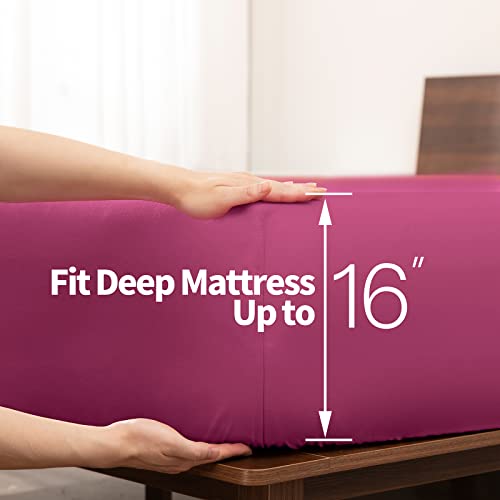 Image of Horbaunal Hot Pink Queen Size Sheet Set - 6 Piece Luxury 1800 Thread Count Bedding Sheets & Pillowcases - 16 Inch Deep Pocket Microfiber Bedding Set - Soft & Wrinkle Bed Sheets