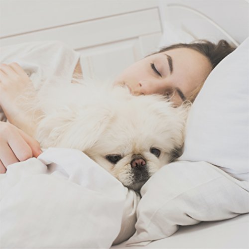 Ienjoy Home Simply Soft 6 Piece Sheet Set, King, Aqua #TOP6