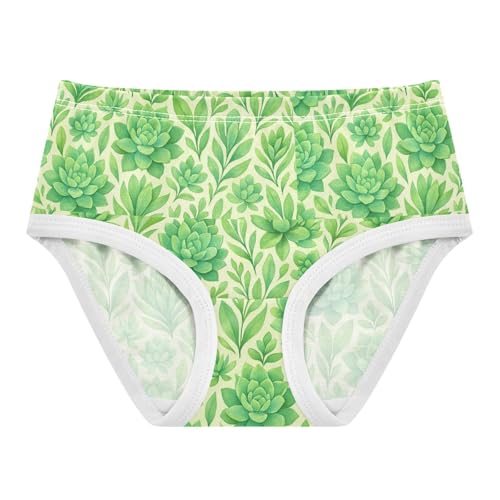 Toddler Underwear Floral 2t Cotton Panties Little Girl Animal Briefs Underpants Watercolor Pastel Green Succulents - Main Image