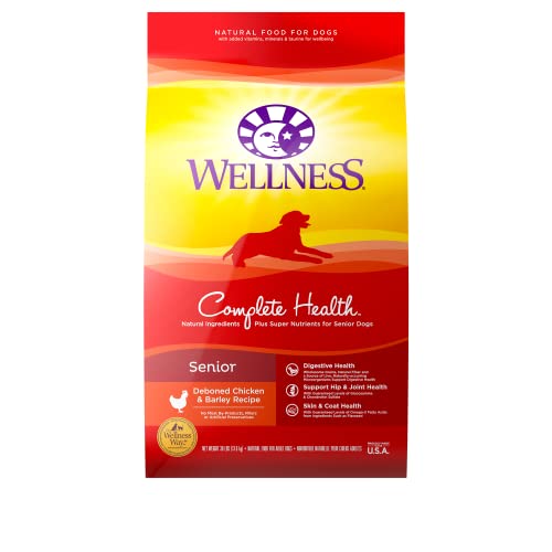 45 Best Senior Dog Food Brands for Health and Longer Lifespan in 2020