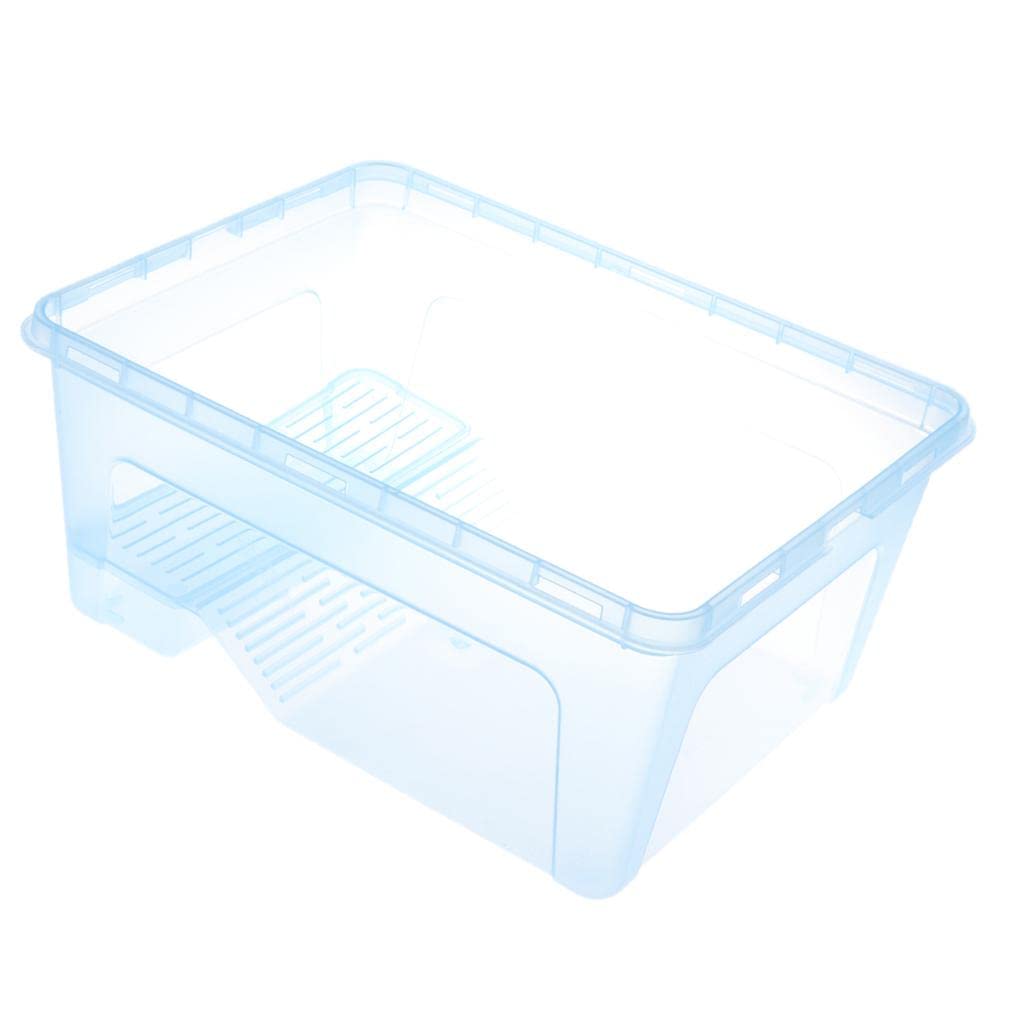 CALANDIS® Reptile Turtle Tank Terrarium Aquarium with Ramp Platform Transparent Blue (B0C2ZFLSCV) Amazon Price History, Amazon Price Tracker