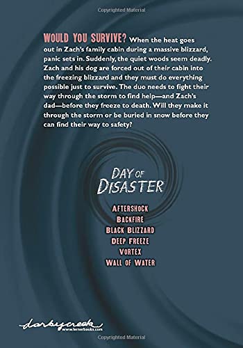 Deep Freeze (Day of Disaster) - Image 2