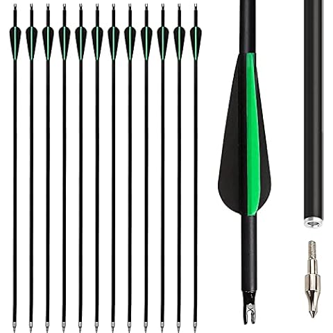 The7boX 30inch Archery Carbon Arrow 12pcs,Hunting Arrows Spine 600 with Replaceable Broadhead for Recurve Bow Compound Bow Outdoor Target Practice Sports Game Cover