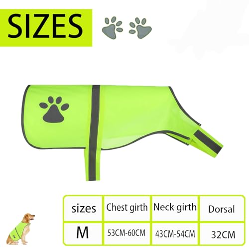 Reflektierende Sicherheitsweste für Hunde, Dog Safety Reflective Lightweight Vest, Wasserabweisend Hund Reflektierende Weste Hohe für Outdoor-Aktivitäten und Spaziergänge bei Dämmerung (Größe M)