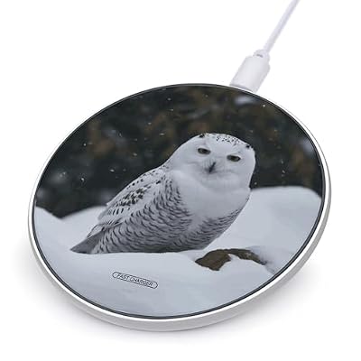 Snow Owl Wireless Charger 10W Portable Fast Wireless Charging Pad Compatible with Phone Slim Charging Station Lightweight Charger Mat Charging Block for Travel Home Office