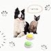 Wanxmal Dog Buttons for Communication, HD Sound Quality Loud Dog Buttons Talk, Dog Buttons Talk for Training, Recordable Dog Talking Button Set with Double-Sided Adhesive Tape and 5 Scene Stickers