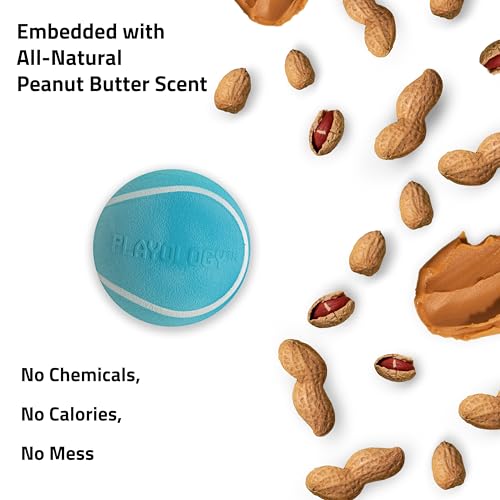 Playology Dog Toys | Squeaky Chew Ball - Bouncy Durable Floating Fetch Ball for Dogs | Medium Peanut Butter Scented Toy - Easy to Clean and Made from Non Toxic Materials - Image 5
